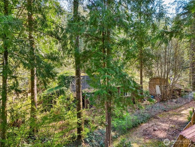 51223 195 Th Pl Se, Home with 0 bedrooms, 0 bathrooms and null parking in Index WA | Image 12