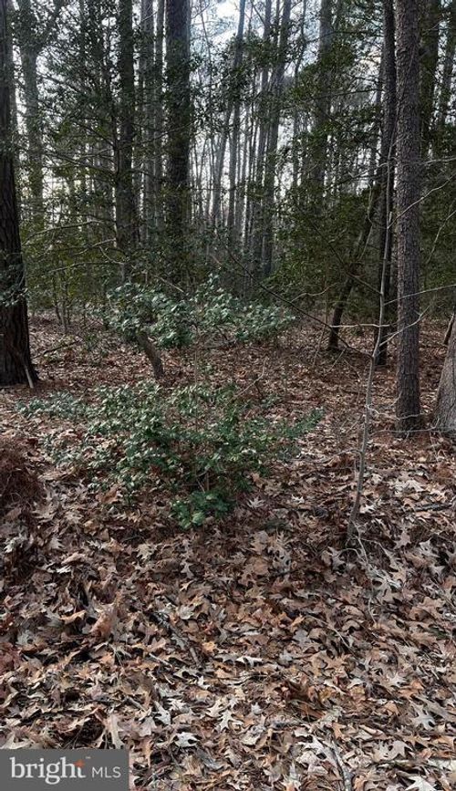 Lot 33 Richardson St, Hague, VA, 22469-2631 | Card Image