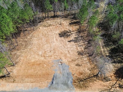 Lot 8 John Swindle Rd, Northport, AL, 35475 | Card Image