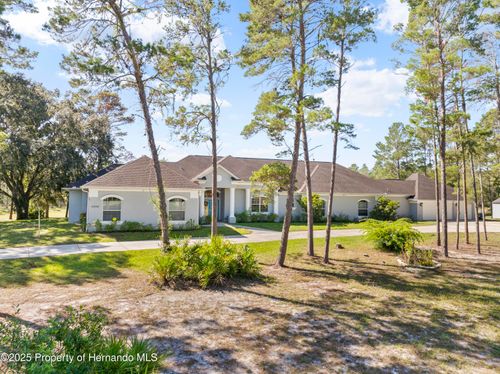11200 Woodland Waters Blvd, Weeki Wachee, FL, 34613-6451 | Card Image