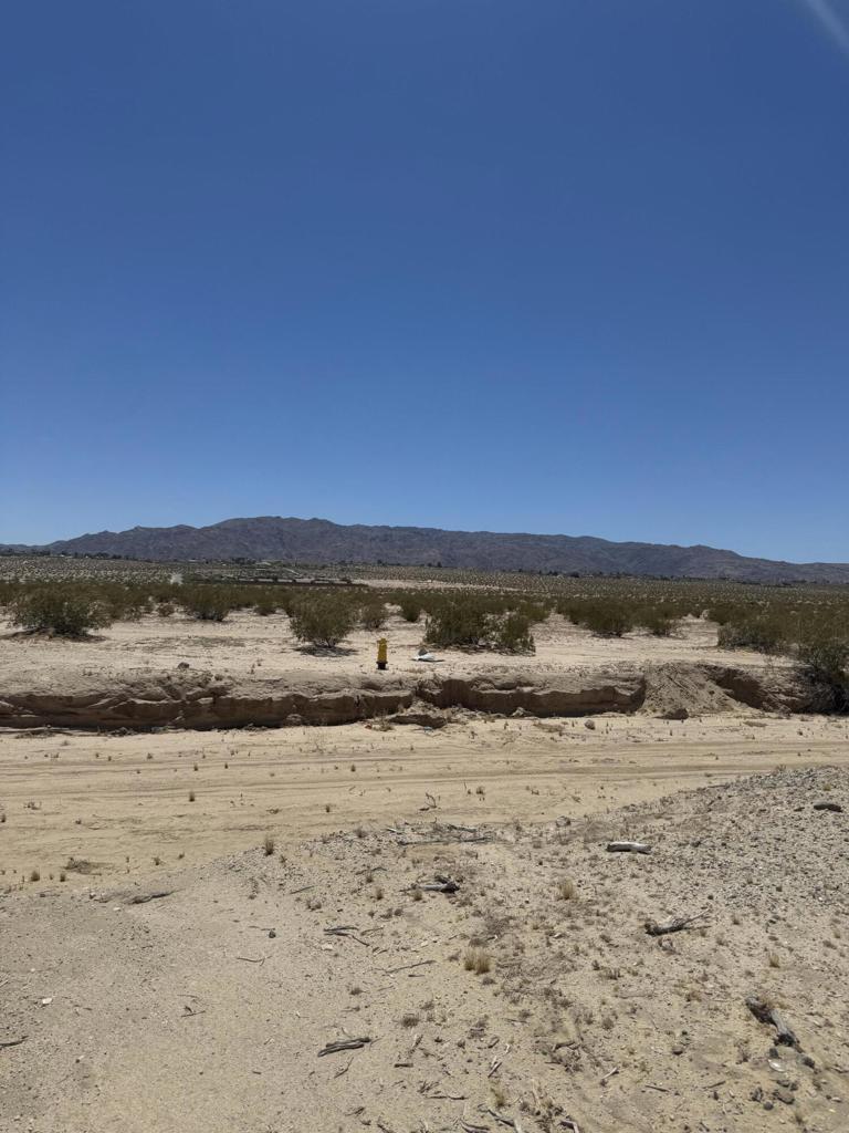 Land in 29 Palms 5