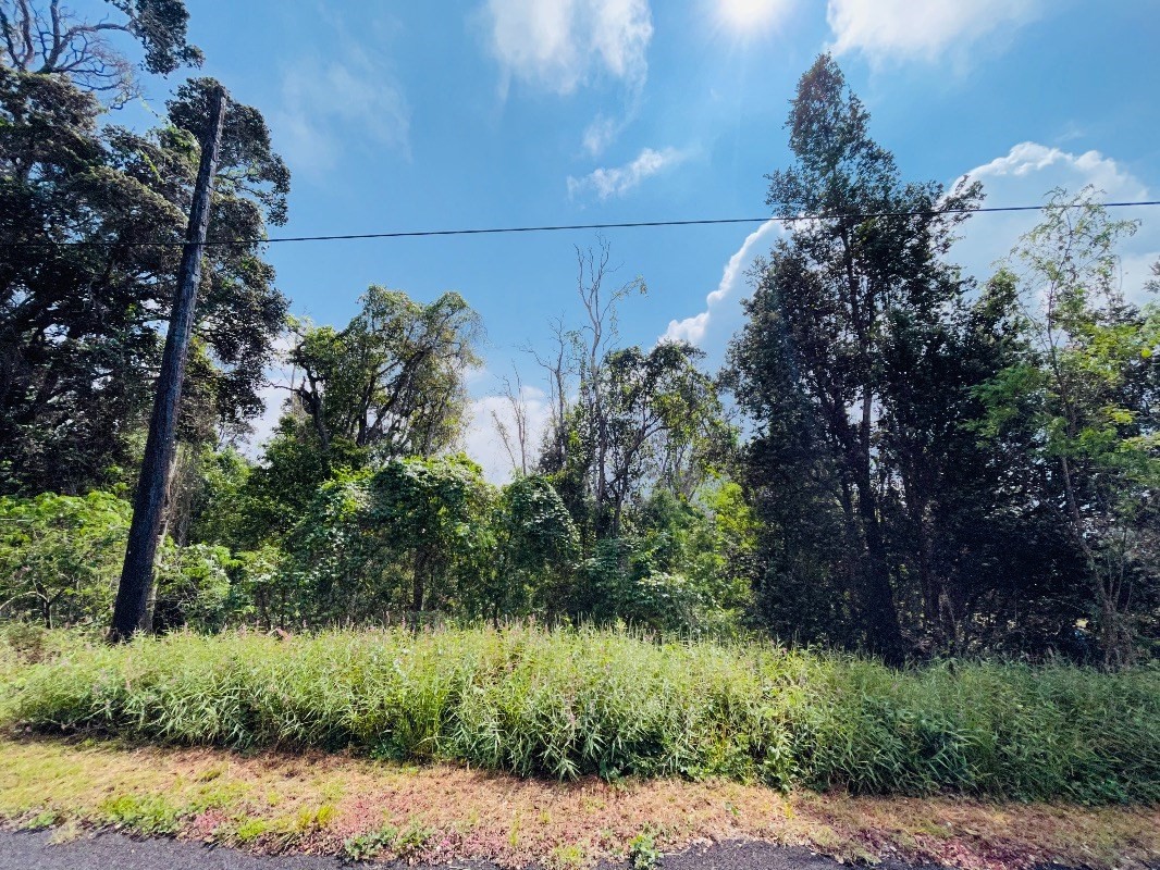 Land in Ocean View 5