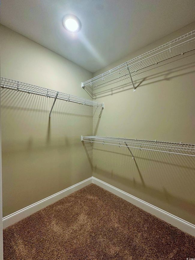 Walk in closet featuring carpet floors | Image 11
