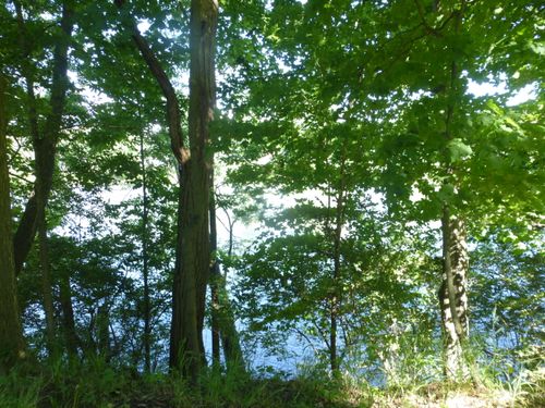 509 N State St, Niles, MI, 49120-2217 | Card Image