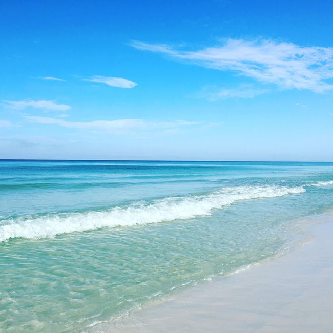 Sugar sands | Image 34