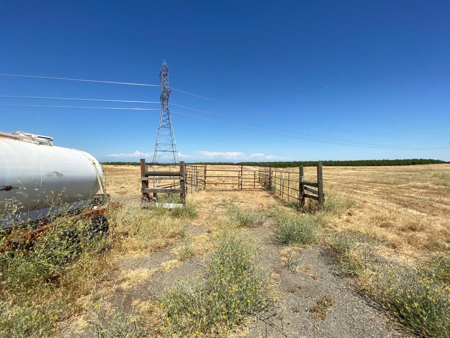 Land in Arbuckle 4