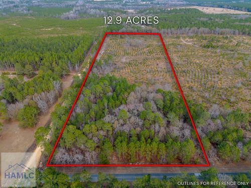 TRACT 1 Wilson Woodard Road, Eastman, GA, 31023 | Card Image