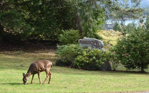 7-4622 Sinclair Bay Rd, Garden Bay, BC, V0N1S1 | Card Image