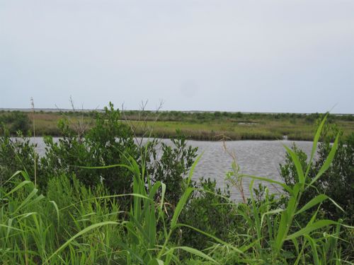 TBD N Bayou Dr, Golden Meadow, LA, 70357 | Card Image