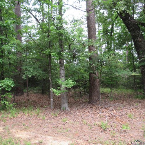 TBD Rolling Rdg, Hawkins, TX, 75765 | Card Image