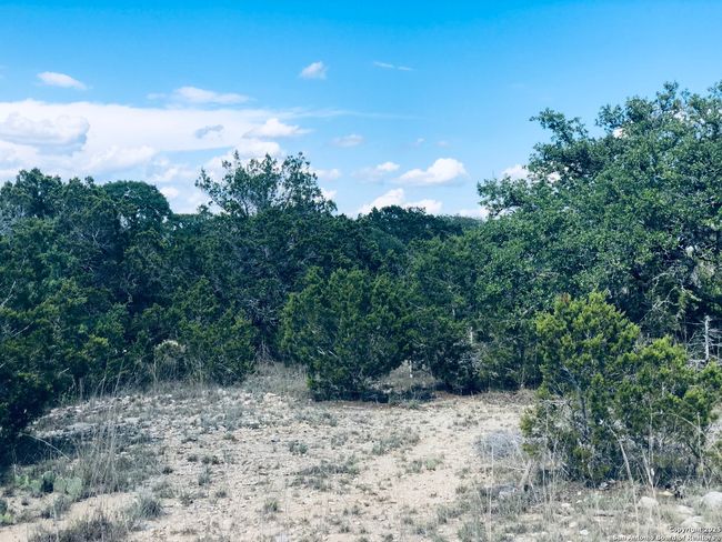 1020 Cliff Cir, Home with 0 bedrooms, 0 bathrooms and null parking in Spring Branch TX | Image 11