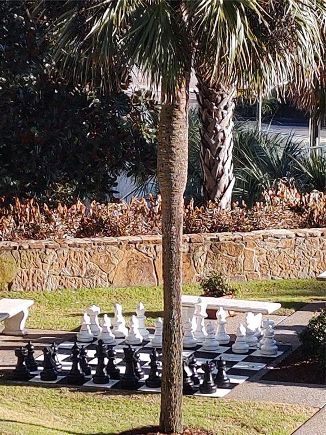 APT-630 - 5220 Seawall Blvd, Condo with 1 bedrooms, 2 bathrooms and null parking in Galveston TX | Image 8