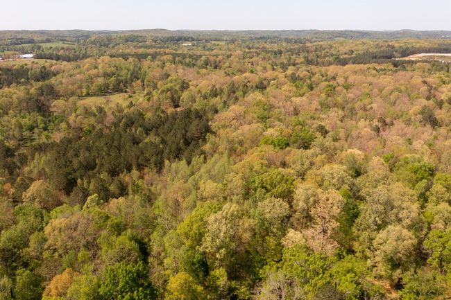 00 Cohutta Beaverdale Rd, Home with 0 bedrooms, 0 bathrooms and null parking in Cohutta GA | Image 19