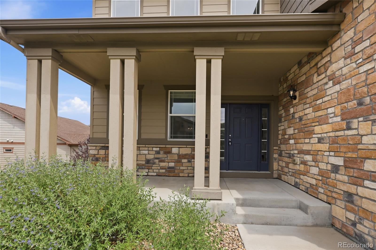 Residential in Castle Rock 3