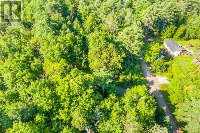 Lt 33 Benson Blvd, Home with 0 bedrooms, 0 bathrooms and null parking in Coboconk ON | Image 14