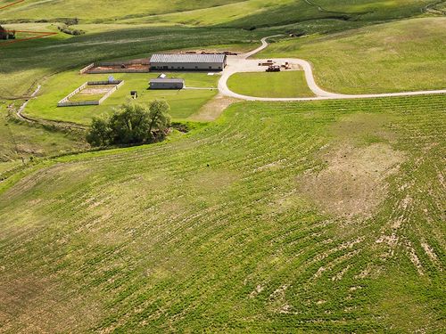 89 Wild Rose Trl, Roberts, MT, 59070-9301 | Card Image