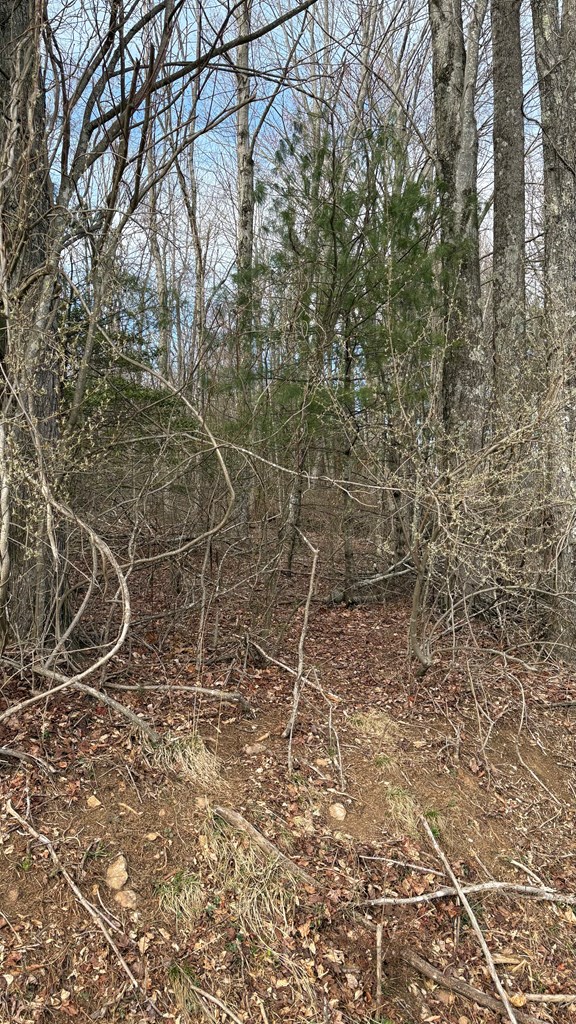 Land in Woodlawn 4