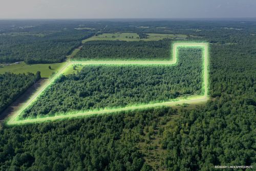 TBD County Road 2907, Hughes Springs, TX, 75656 | Card Image