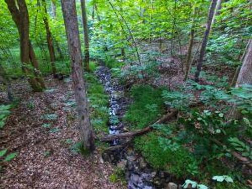 Lot 61 Lake Pointe Cove Ct, Glade Hill, VA, 24092-3979 | Card Image