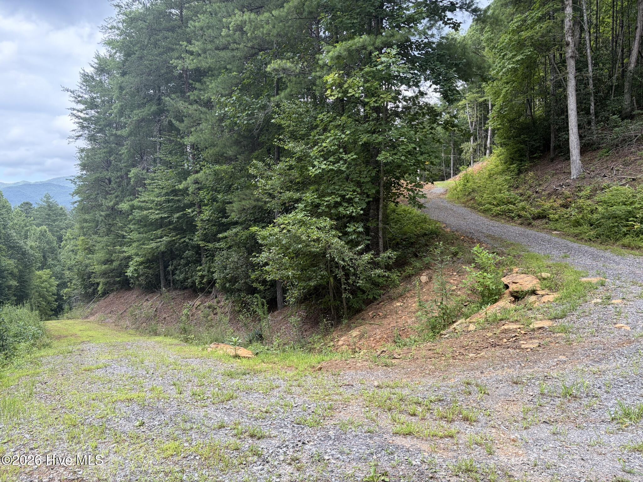 Land in Murphy 5