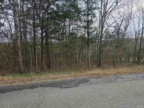 L9 B3 Mineola Drive, Cherokee Village, AR, 72529 | Card Image