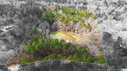 1-1000-1068 Camp Winnataska Rd, Pell City, AL, 35128-4606 | Card Image