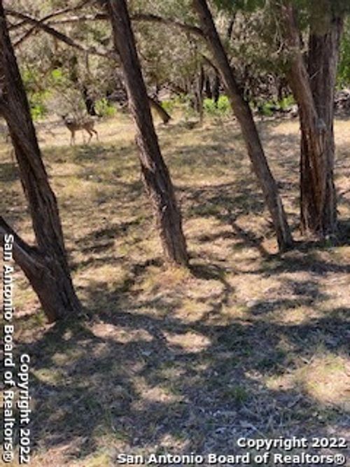 0 Blue Gill Dr, Pipe Creek, TX, 78063 | Card Image