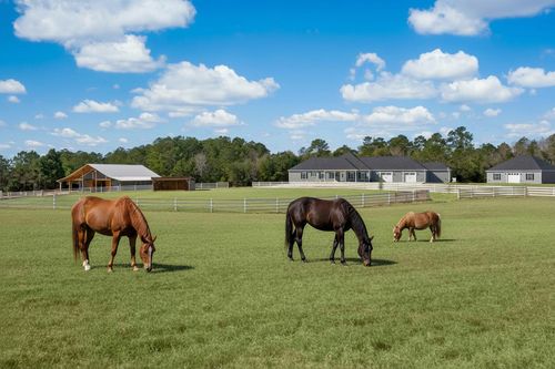 7356 Johnson Shortcut Rd, Conway, SC, 29527-3826 | Card Image