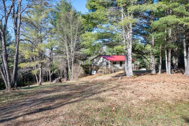 37 Mayhew Rd, House other with 3 bedrooms, 1 bathrooms and 6 parking in Carl ON | Image 9