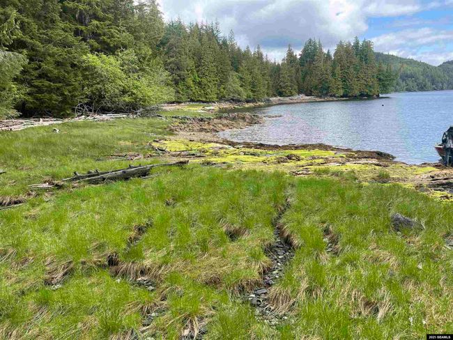 LOT-2-BLOCK-1 - NHN Legal Address Only, Home with 0 bedrooms, 0 bathrooms and null parking in Ketchikan AK | Image 8