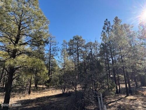 lot-31-3290 W Black Oak Loop, Show Low, AZ, 85901-7587 | Card Image