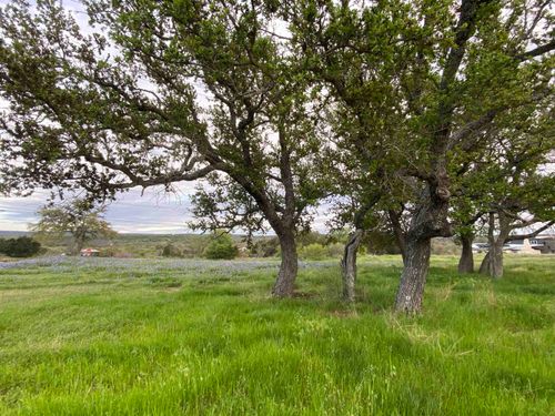 303 S Oak Ln, Burnet, TX, 78611-3035 | Card Image