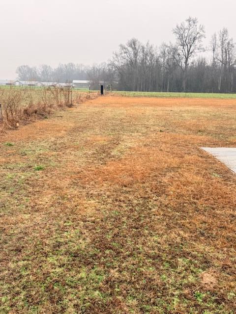Land in Sumter 3