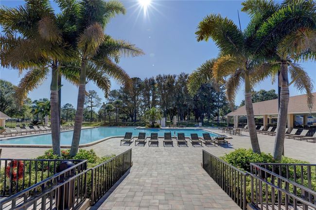Main clubhouse pool is heated & cooled for year-round use~ | Image 33