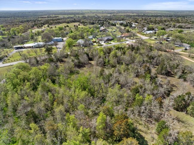 Aerial view featuring a view of trees | Image 11