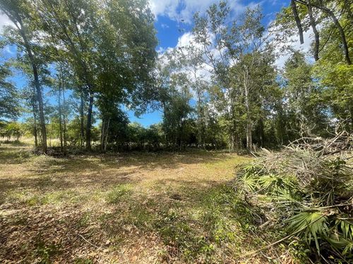 TBD Hwy 361, STEINHATCHEE, FL, 32359 | Card Image