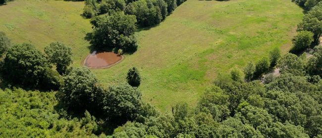 1194 Bailey Hollow Rd, House other with 3 bedrooms, 2 bathrooms and 6 parking in Erin TN | Image 5