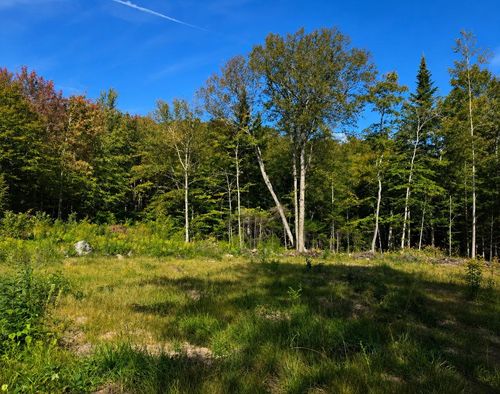 270 Bergabhang Dr, Readsboro, VT, 05350-4426 | Card Image