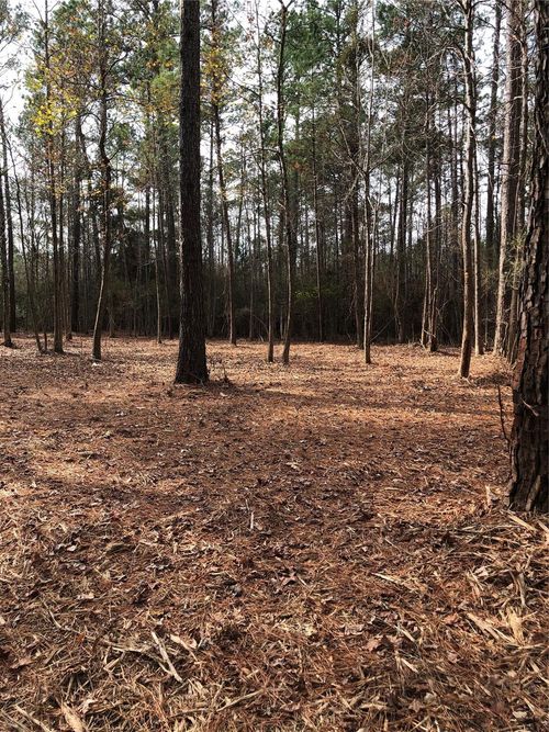 13 Pr 8725, Woodville, TX, 75979 | Card Image