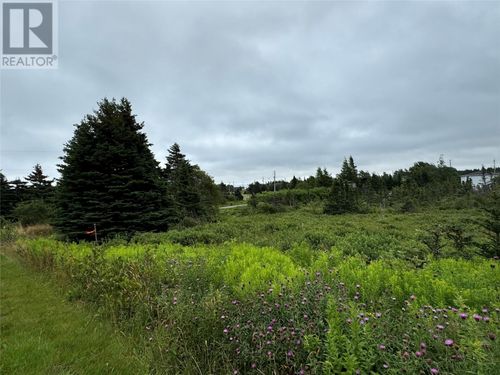 17A Crowes Lane, Torbay, NL, A1K1H5 | Card Image