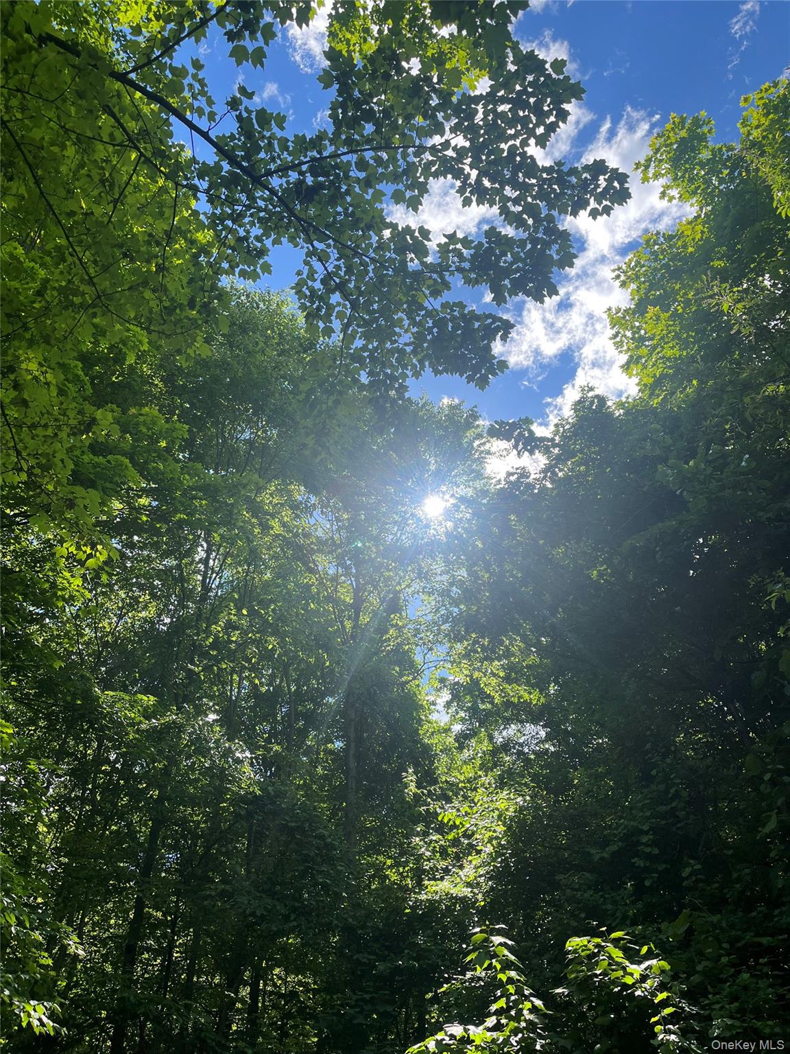 Land in Putnam Valley