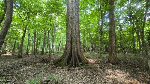 No Highway 407, Kilmichael, MS, 39747 | Card Image