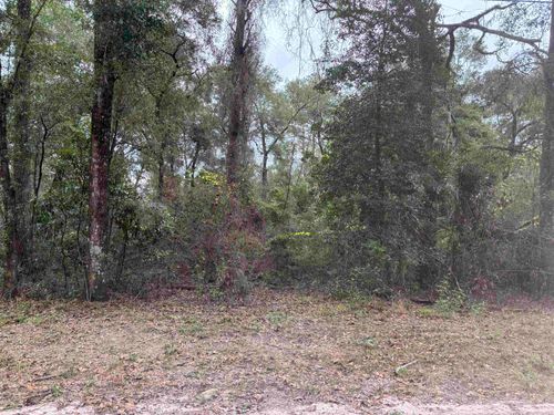 133 Rochelsie Rd, CRAWFORDVILLE, FL, 32327-2719 | Card Image