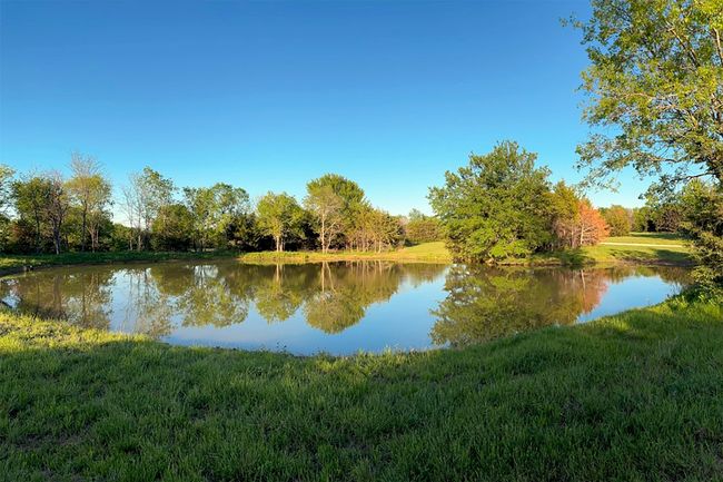 Pond | Image 19