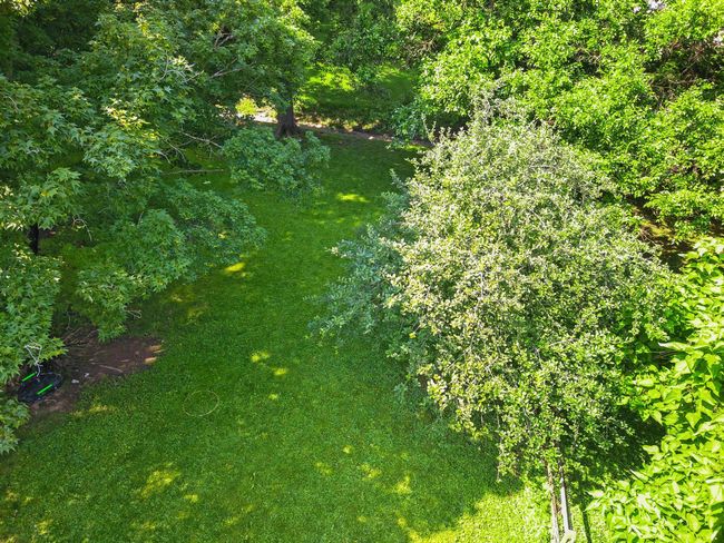 377 Linden Ave, House other with 2 bedrooms, 1 bathrooms and null parking in Southgate KY | Image 13