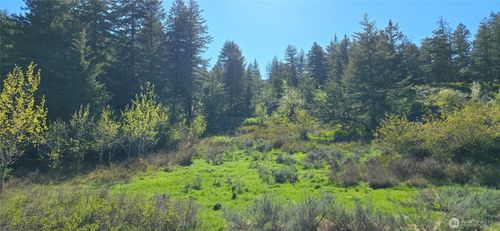 113 Ellemeham Mountain Rd, Oroville, WA, 98844 | Card Image