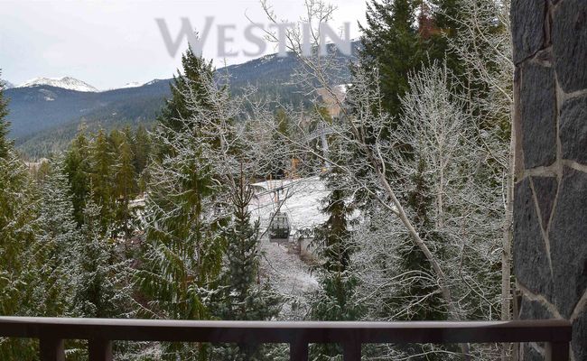 921 - 4090 Whistler Way, Condo with 2 bedrooms, 1 bathrooms and null parking in Whistler BC | Image 31