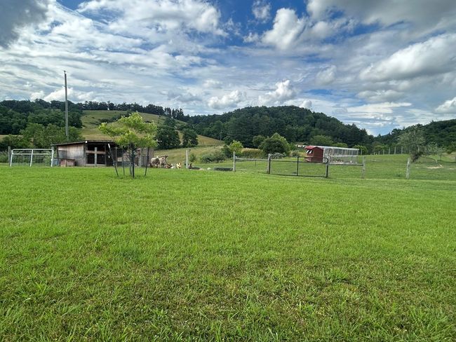 3950 Boyd Rd, House other with 2 bedrooms, 2 bathrooms and null parking in Draper VA | Image 40
