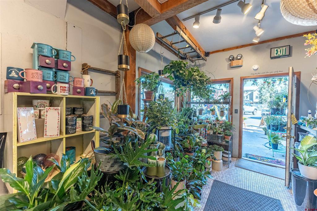 6th St, Crested Butte, CO 81224 #1