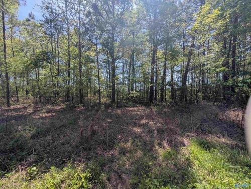 11 Paradise Avenue, Gadsden, AL, 35903 | Card Image
